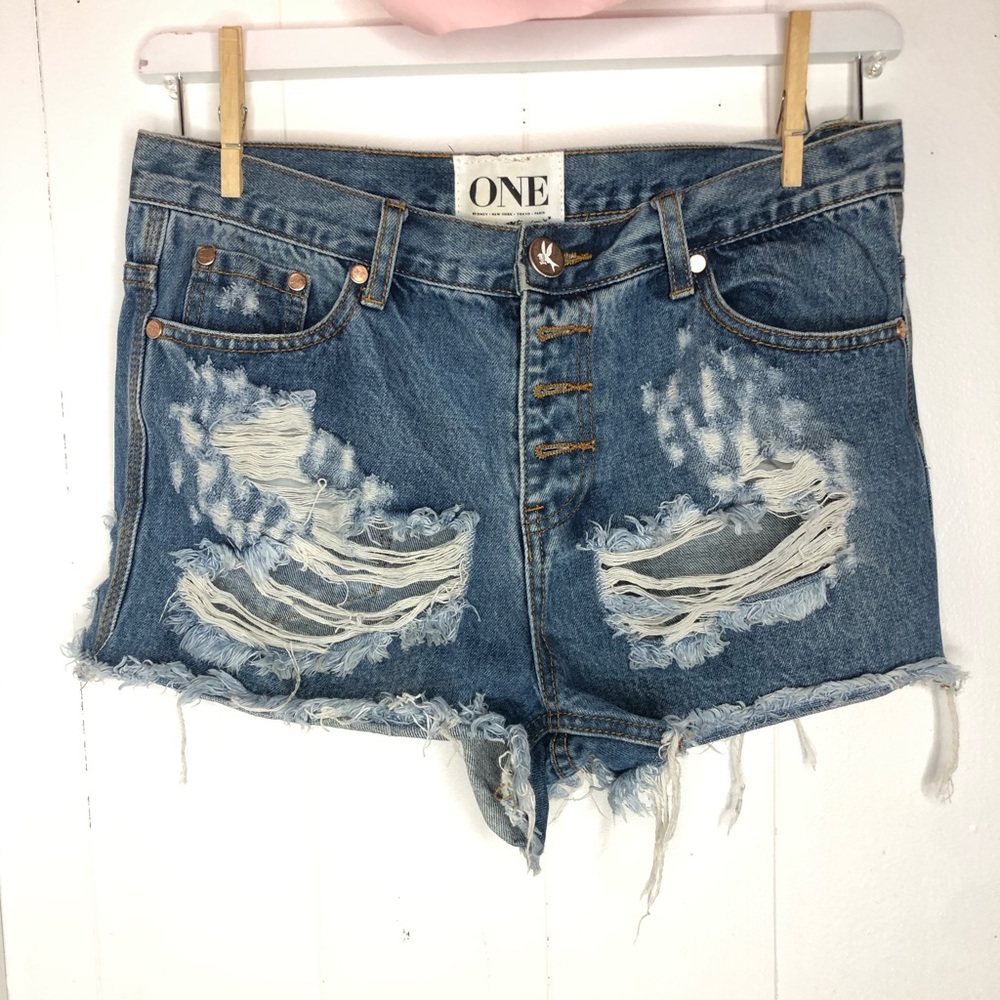 One teaspoon denim shorts 29